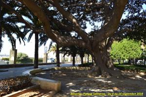 30 ALMERIA ENTREE DU PORT ET PARC SALMERON (21)